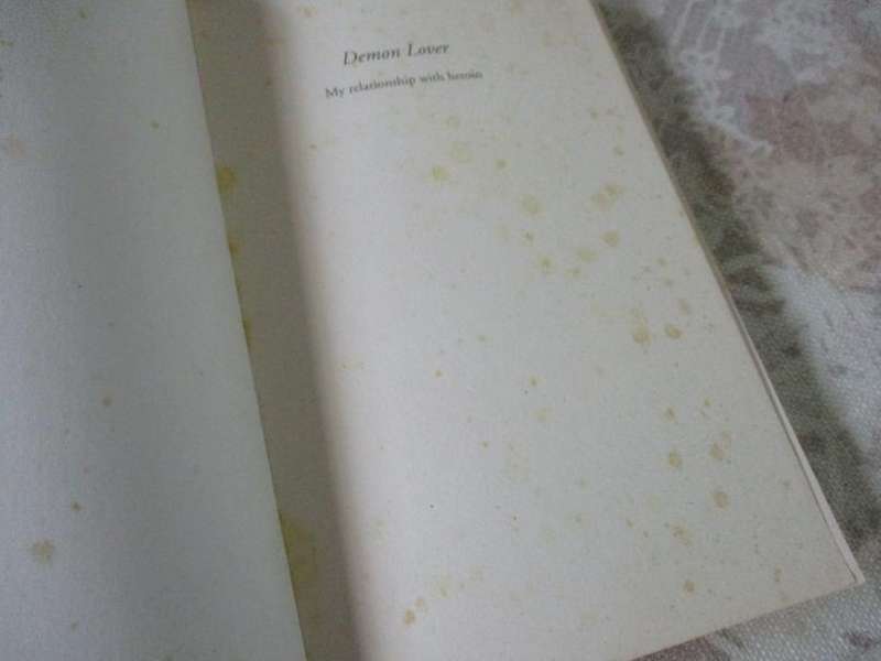 DEMON LOVER - MY ADDICTION TO HEROIN - ANOUX VENTER