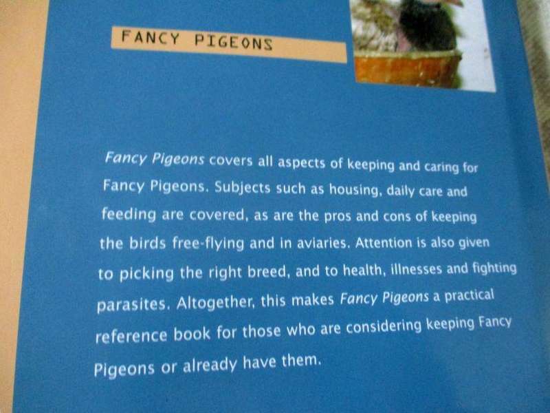 FANCY PIGEONS - AAD RIJS