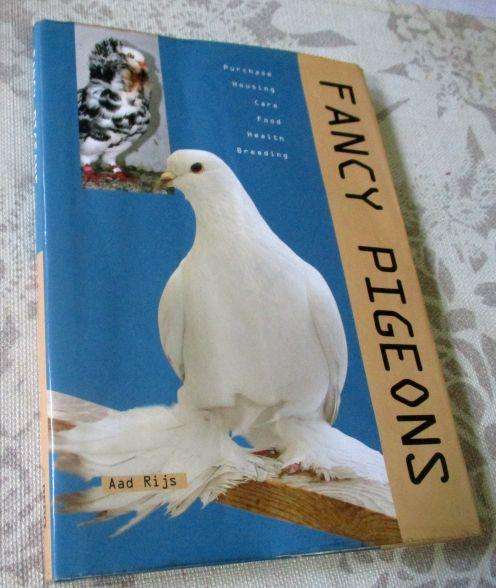 FANCY PIGEONS - AAD RIJS
