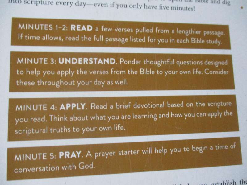 THE DAILY 5-MINUTE BIBLE STUDY FOR WOMEN - 365 FOCUSED, ENCOURAGING READINGS