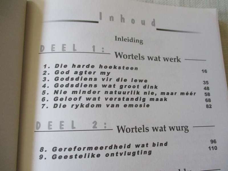 GODSDIENS WAT WERK - ONTDEK DIE SOORT GODSDIENS WAT VIR JOU DIE BESTE WERK - WILLEM NICOL