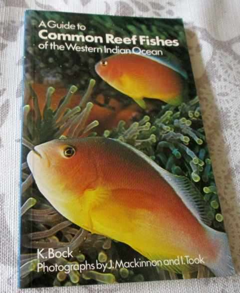 A GUIDE TO THE COMMON REEF FISHES OF THE WESTERN INDIAN OCEAN - K BOCK