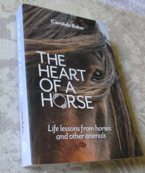 THE HEART OF A HORSE - LIFE LESSONS FROM HORSES AND OTHER ANIMALS - CANDIDA BAKER