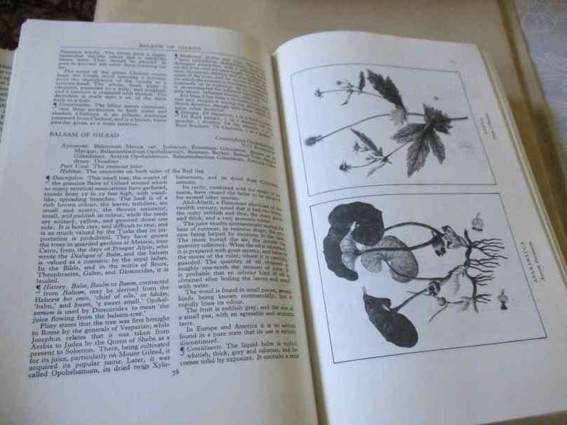 A MODERN HERBAL - MRS M GRIEWE F.R.H.S.