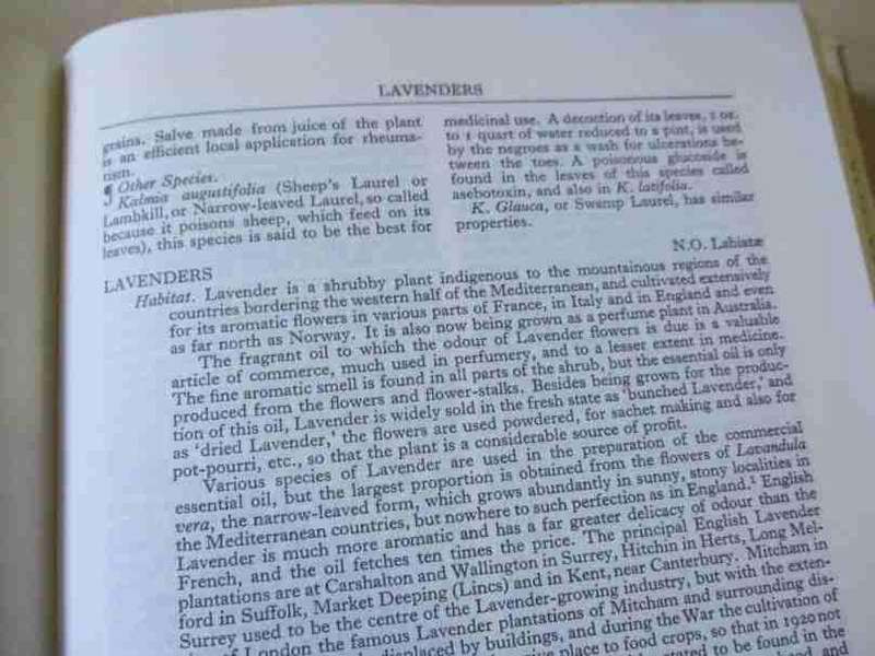 A MODERN HERBAL - MRS M GRIEWE F.R.H.S.