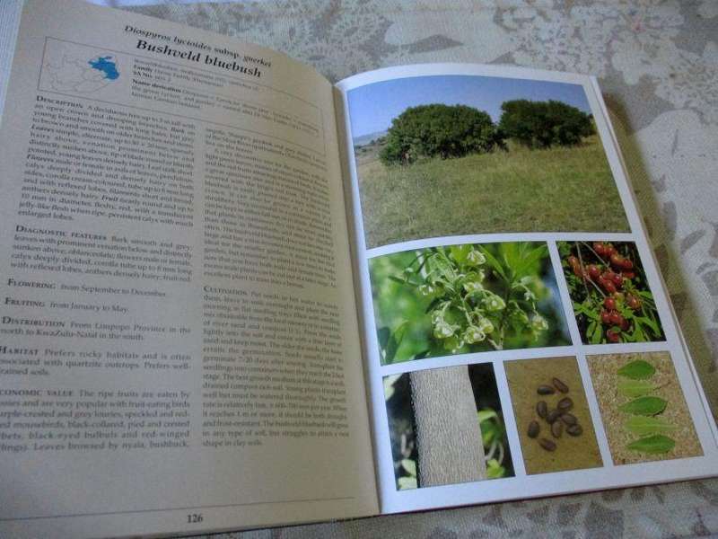 MAKING THE MOST OF INDIGENOUS TREES - FOURIE & JULYE-ANN VENTER
