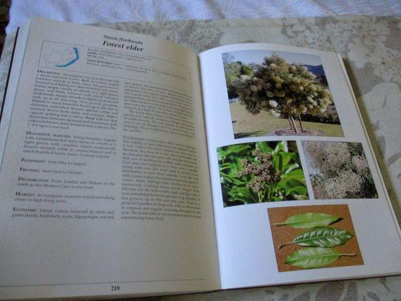 MAKING THE MOST OF INDIGENOUS TREES - FOURIE & JULYE-ANN VENTER