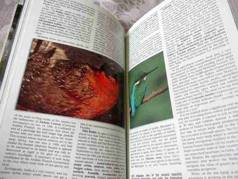 INDIAN WILDLIFE - INSIGHT GUIDES ( india )