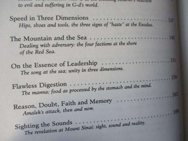 THE INSIDE STORY - A CHASSIDIC PERSPECTIVE ON BIBLICAL EVENTS, ENCOUNTERS AND PERSONALITIES - YANKI