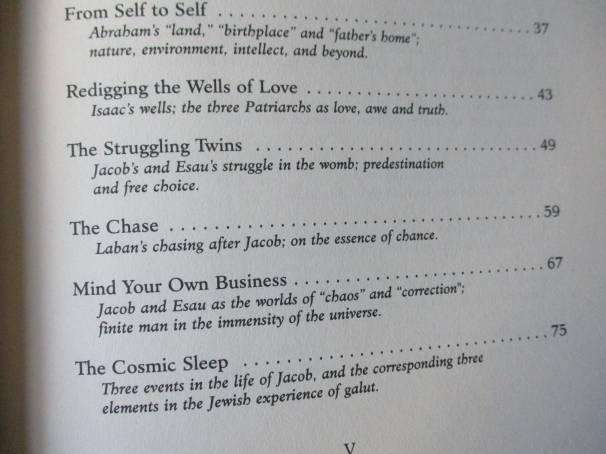 THE INSIDE STORY - A CHASSIDIC PERSPECTIVE ON BIBLICAL EVENTS, ENCOUNTERS AND PERSONALITIES - YANKI