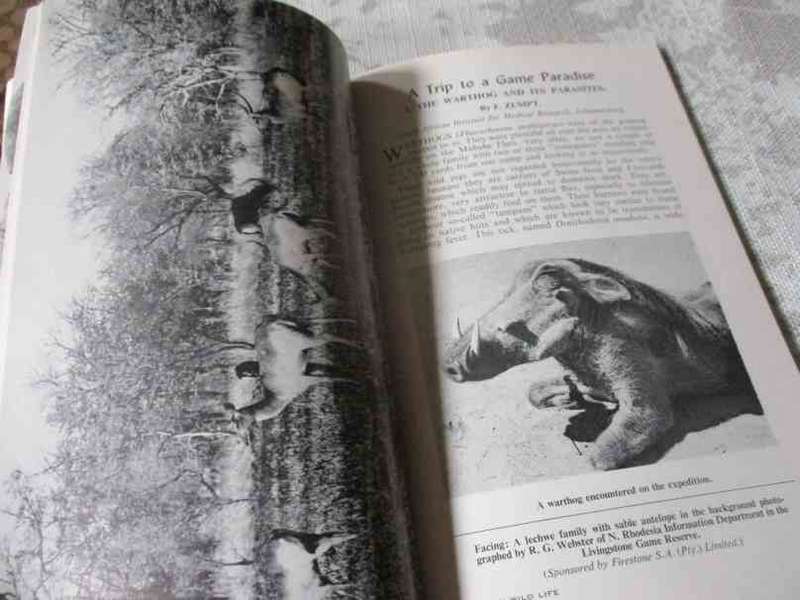 AFRICAN WILD LIFE MARCH 1960