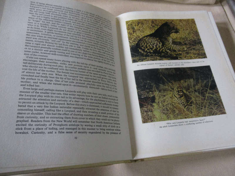 THE LEOPARD - PETER TURNBULL-KEMP
