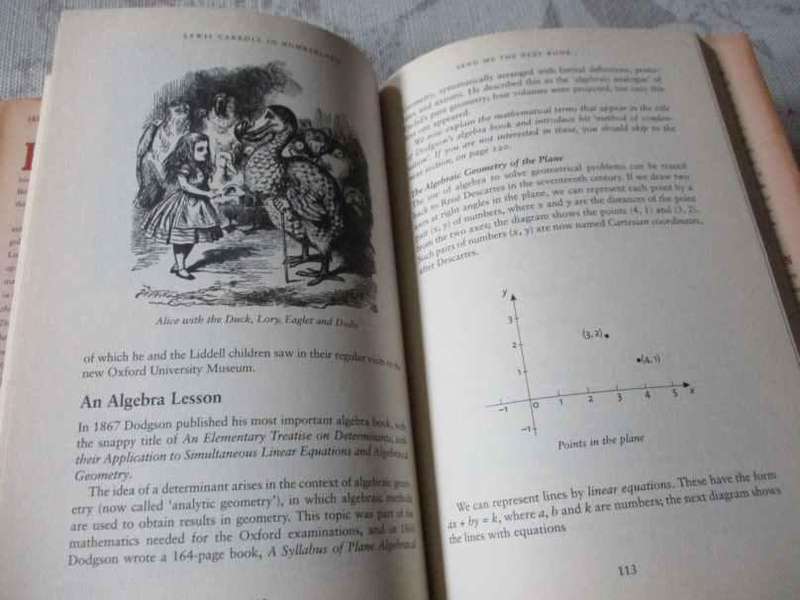 LEWIS CARROLL IN NUMBERLAND - HIS FANTASTICAL MATHEMATICAL LOGICAL LIFE - ROBIN WILSON