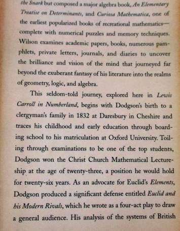 LEWIS CARROLL IN NUMBERLAND - HIS FANTASTICAL MATHEMATICAL LOGICAL LIFE - ROBIN WILSON