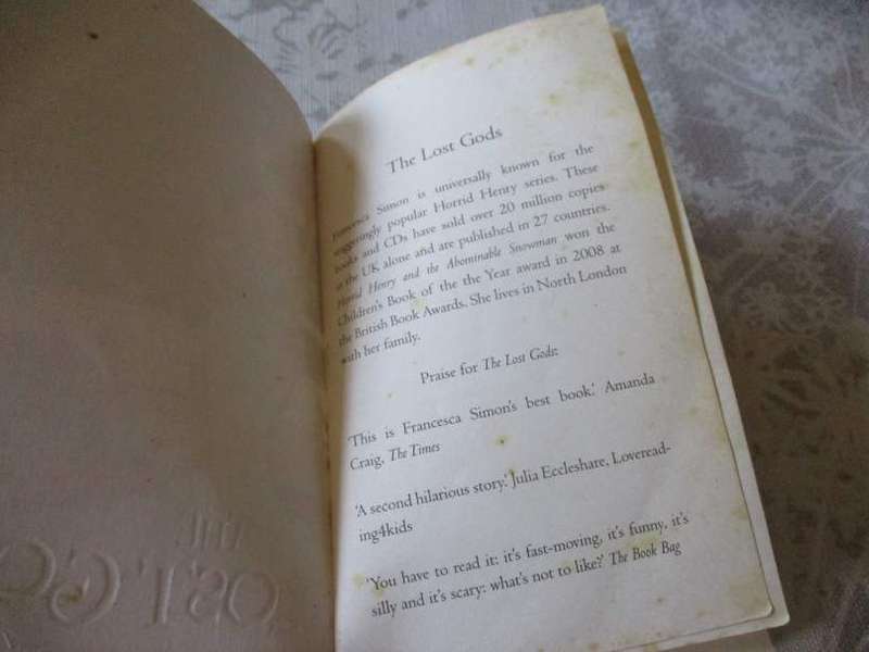 THE LOST GODS - FRANCESCA SIMON