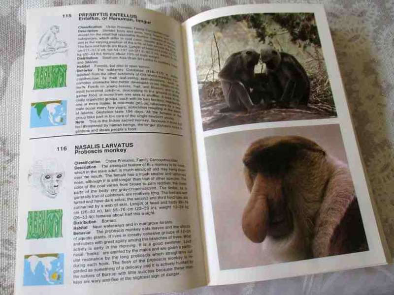 THE MACDONALD ENCYCLOPEDIA OF MAMMALS - LUIGI BOITANI