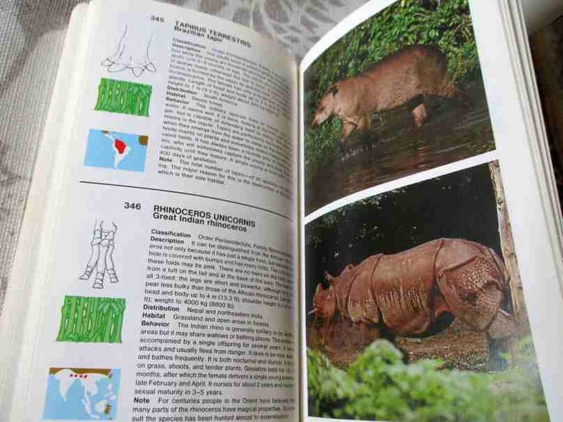 THE MACDONALD ENCYCLOPEDIA OF MAMMALS - LUIGI BOITANI