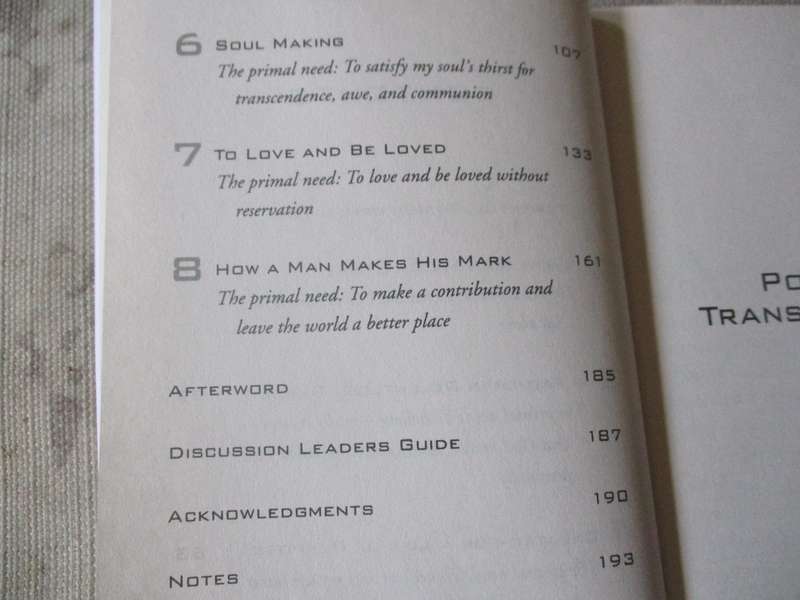MAN ALIVE - TRANSFORMING YOUR 7  PRIMAL NEEDS INTO A POWERFUL SPIRITUAL LIFE - PATRICK MORLEY