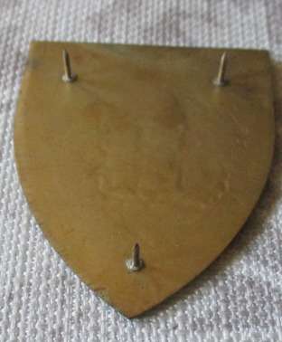 SADF - ARMY GYMNASIUM - SHOULDER FLASH ( original )