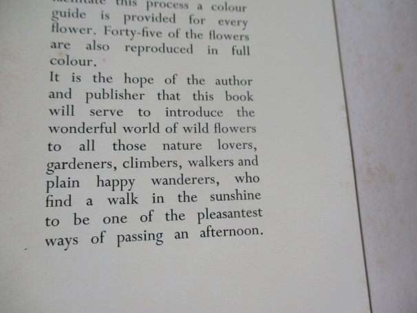 THE WILD FLOWERS OF SOUTHERN AFRICA - NATAL - A RAMBLER'S POCKET GUIDE - Dr WINIFRED G WRIGHT