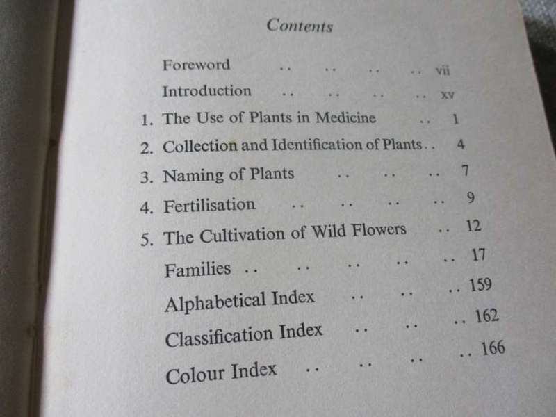THE WILD FLOWERS OF SOUTHERN AFRICA - NATAL - A RAMBLER'S POCKET GUIDE - Dr WINIFRED G WRIGHT