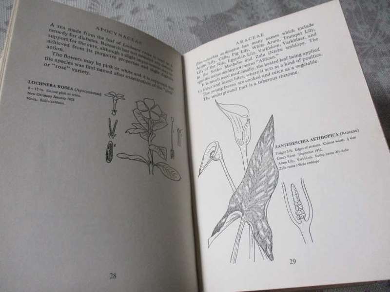 THE WILD FLOWERS OF SOUTHERN AFRICA - NATAL - A RAMBLER'S POCKET GUIDE - Dr WINIFRED G WRIGHT