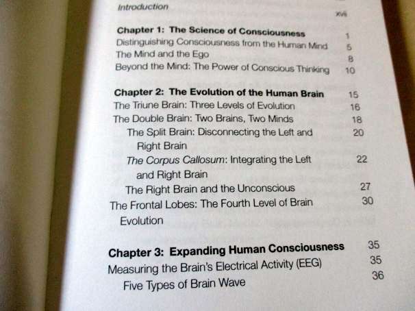 NEW BRAIN, NEW WORLD - HOW THE EVOLUTION OF A NEW HUMAN BRAIN CAN TRANSFORM CONSCIOUSNESS AND ..