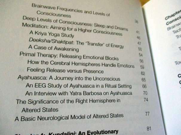 NEW BRAIN, NEW WORLD - HOW THE EVOLUTION OF A NEW HUMAN BRAIN CAN TRANSFORM CONSCIOUSNESS AND ..