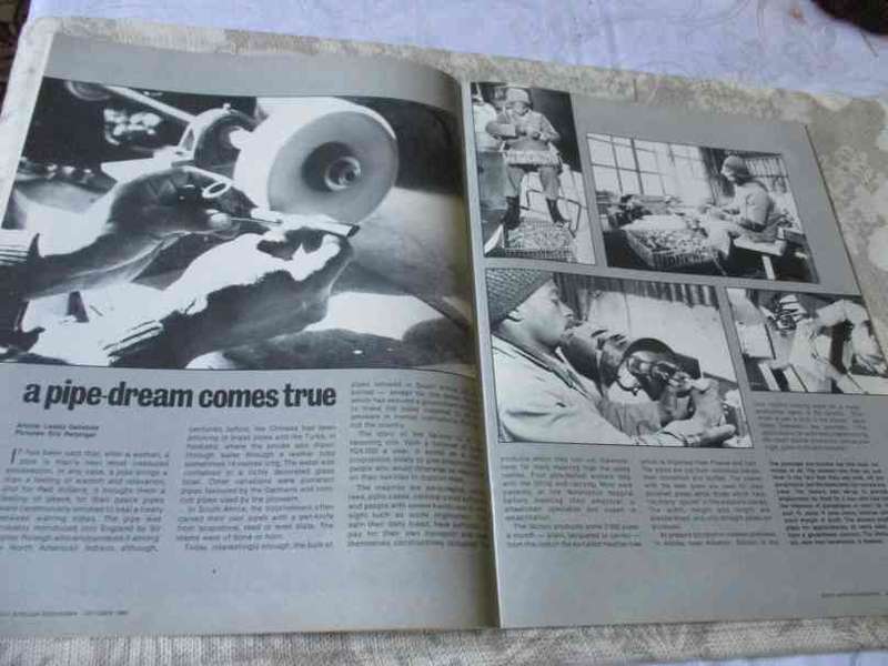 S.A. PANORAMA MAGAZINE OCTOBER 1980 ( paul rose - artist )