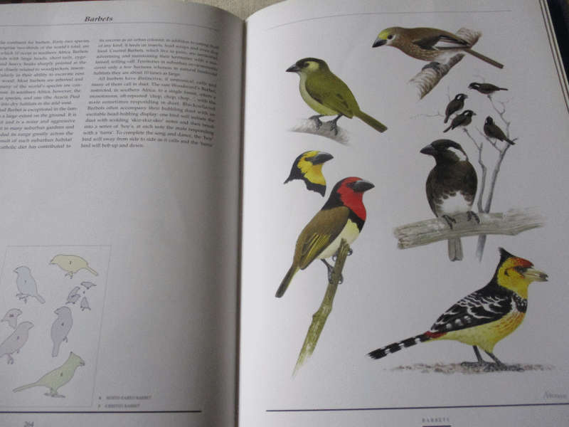 BIRDS OF SOUTHERN AFRICA - THE SASOL PLATES COLLECTION - PETER HAYMAN & NORMA ARLOTT