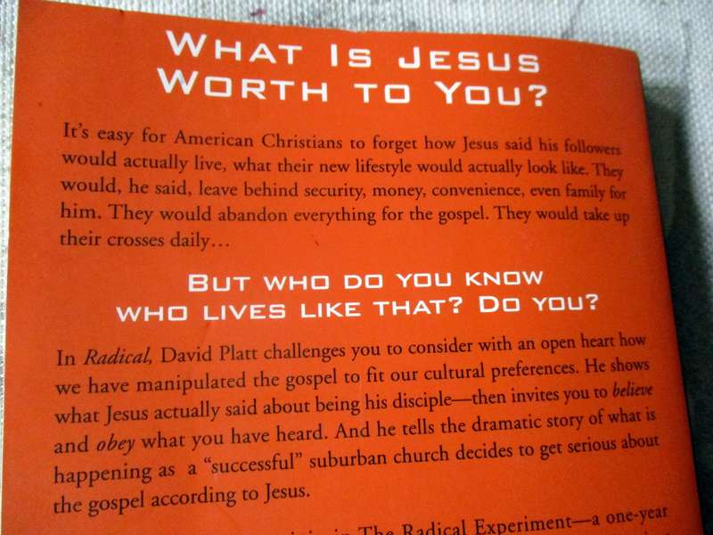 RADICAL - TAKING BACK YOUR FAITH FROM THE AMERICAN DREAM - DAVID PLATT