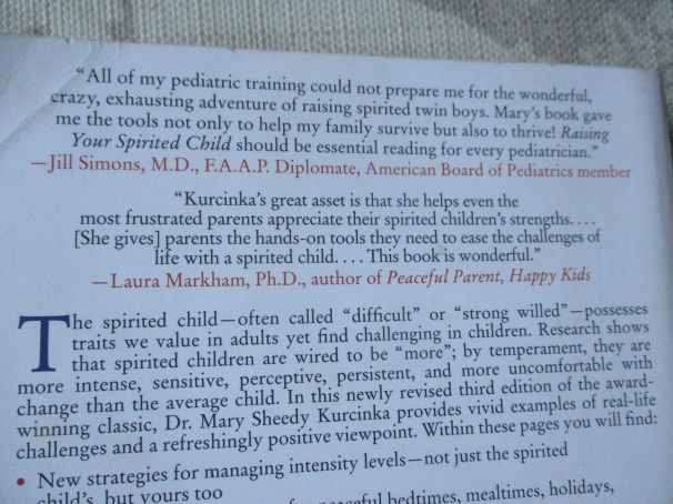 RAISING THE SPIRITED CHILD - MARY SHEEDY KURCINKA