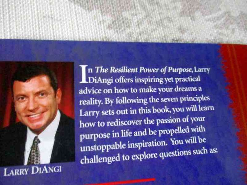 THE RESILIENT POWER OF PURPOSE - 7 STEPS TO OWN YOUR DREAM - LARRY DIANGI