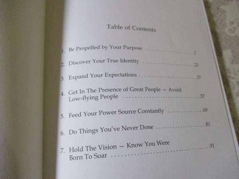 THE RESILIENT POWER OF PURPOSE - 7 STEPS TO OWN YOUR DREAM - LARRY DIANGI