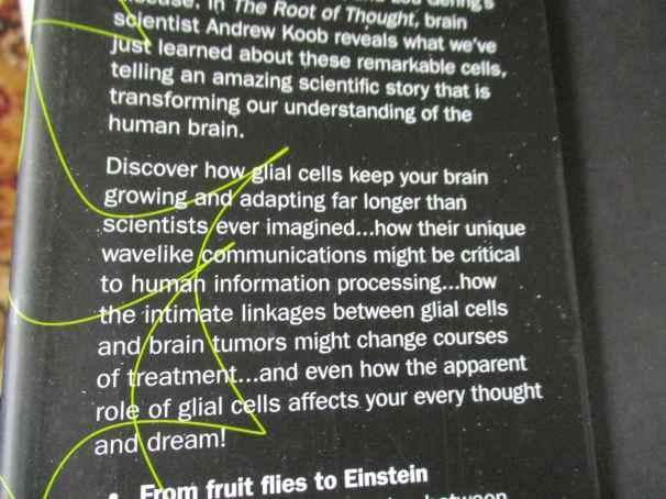 THE ROOT OF THOUGHT - UNLOCKING GLIA - THE BRAIN CELL THAT WILL HELP US SHARPEN OUR WITS, HEAL IN...