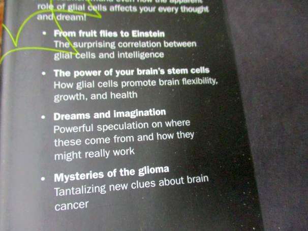 THE ROOT OF THOUGHT - UNLOCKING GLIA - THE BRAIN CELL THAT WILL HELP US SHARPEN OUR WITS, HEAL IN...