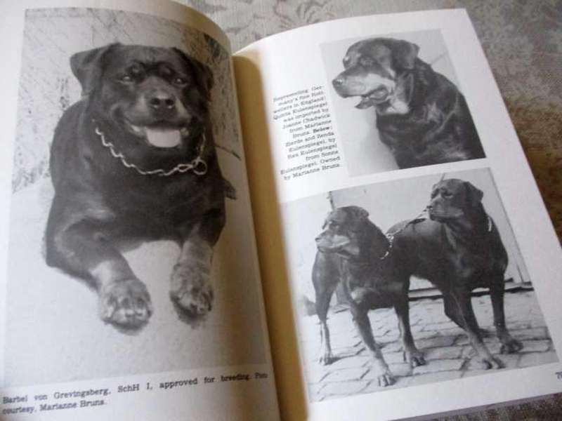 THE BOOK OF THE ROTTWEILER - ANNA KATHERINE NICHOLAS