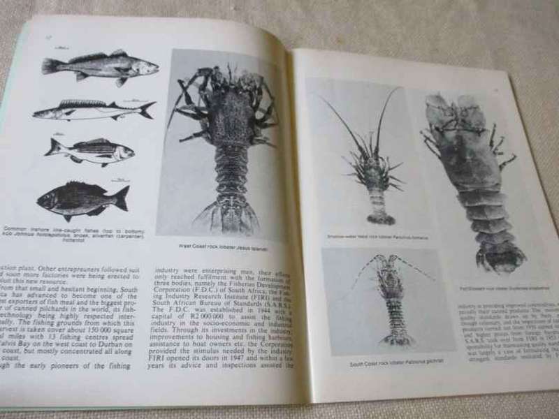 SEA FISHERIES PANORAMA - INFO. ON SOUTH AND SOUTH WEST AFRICAN MARINE FISHERIES ..  ( 1978 )