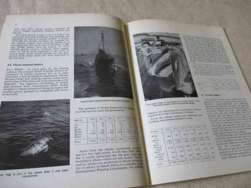 SEA FISHERIES PANORAMA - INFO. ON SOUTH AND SOUTH WEST AFRICAN MARINE FISHERIES ..  ( 1978 )