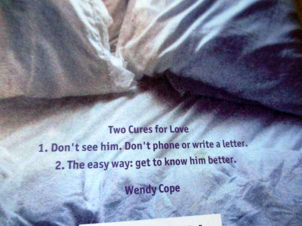 101 POEMS TO GET YOU THROUGH THE DAY ( AND NIGHT ) A SURVIVAL KIT FOR M.. - EDITED DAISY GOODWIN101