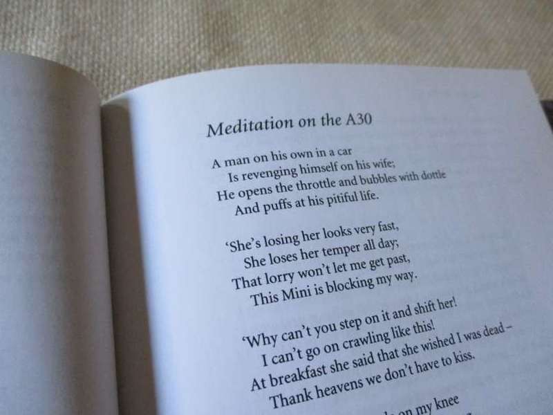 101 POEMS TO GET YOU THROUGH THE DAY ( AND NIGHT ) A SURVIVAL KIT FOR M.. - EDITED DAISY GOODWIN101