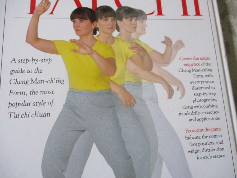 THE COMPLETE BOOK OF TAI CHI - STEWART McFARLANE
