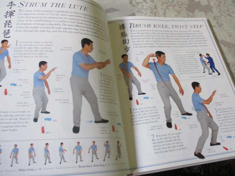 THE COMPLETE BOOK OF TAI CHI - STEWART McFARLANE