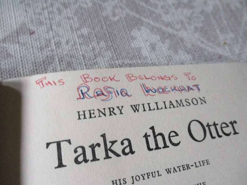 TARKA THE OTTER - HENRY WILLIAMSON