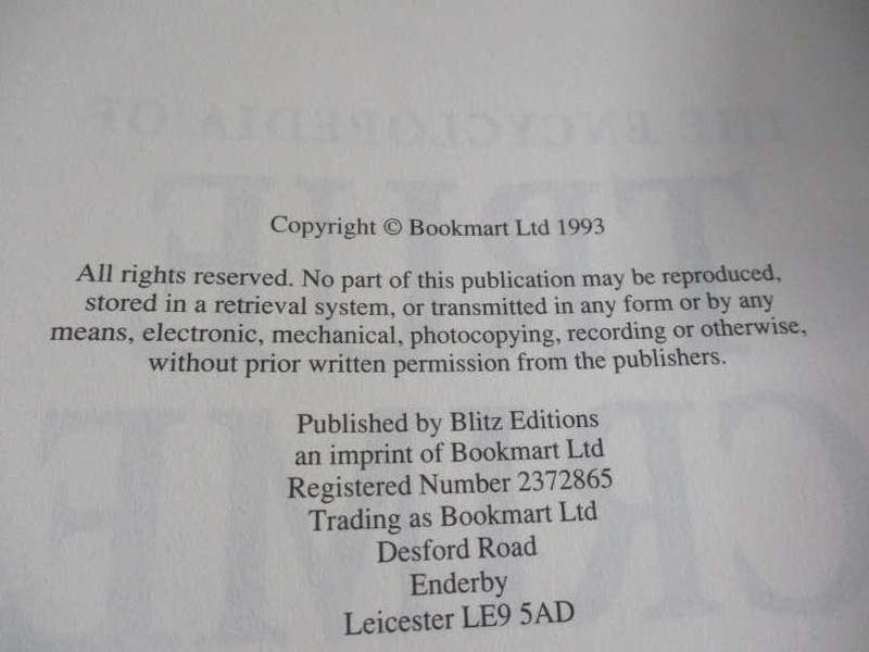 THE ENCYCLOPEDIA OF TRUE CRIME - ALLAN HALL