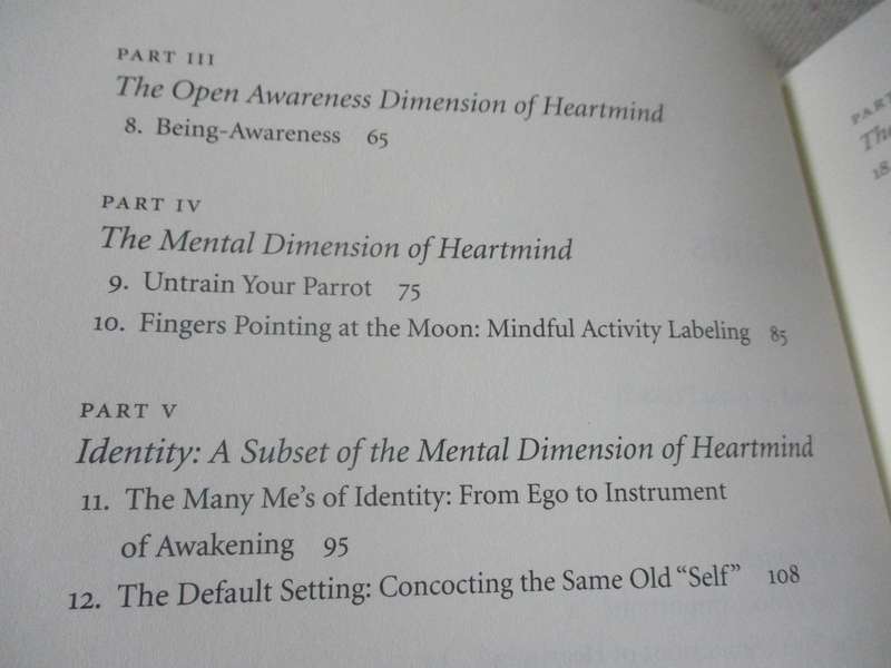 UNTRAIN YOUR PARROT AND OTHER NO-NONSENSE INSTRUCTIONS ON THE PATH OF ZEN - ELIZABETH HAMILTON