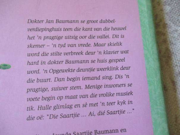 SAARTJIE SE VAKANSIE - BETTIE NAUDE