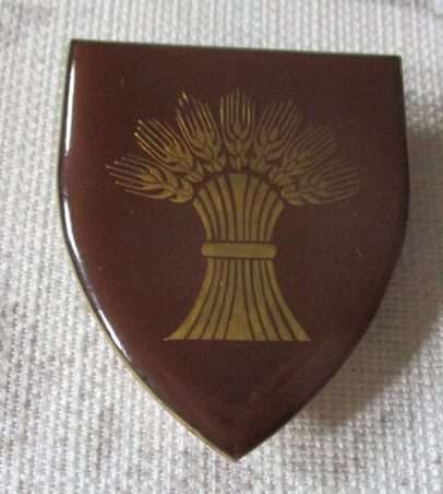 SADF - BETHLEHEM COMMANDO - SHOULDER / ARM FLASH ( original )
