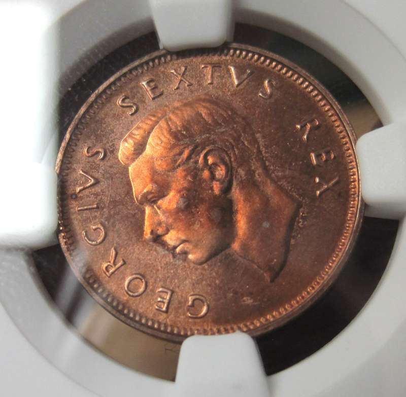 SA Union 1/4 Penny 1951 - NGC PF65RD - Scarce in Red