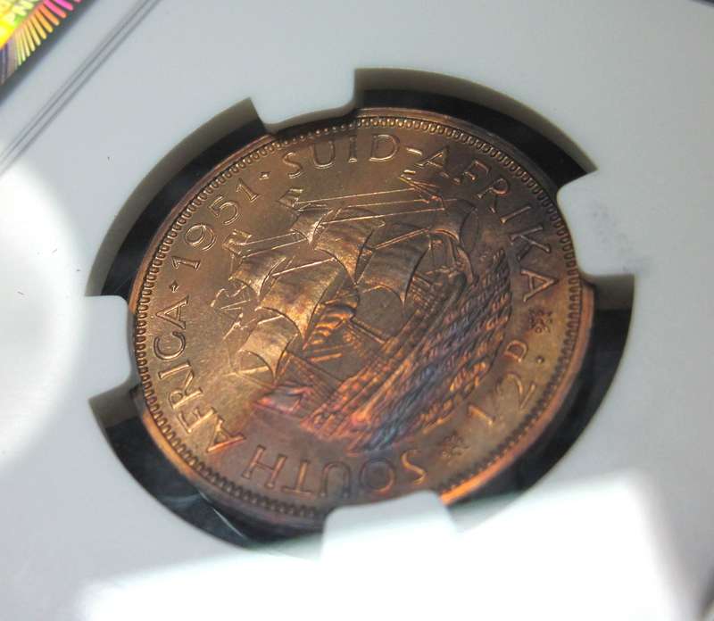 SA Union 1/2 Penny 1951 - NGC PF64RB